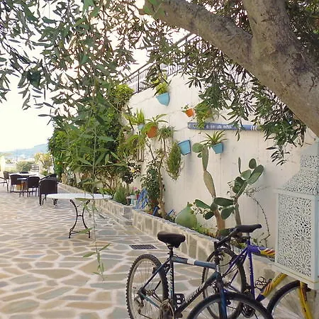 Daire Farkia Exclusive *