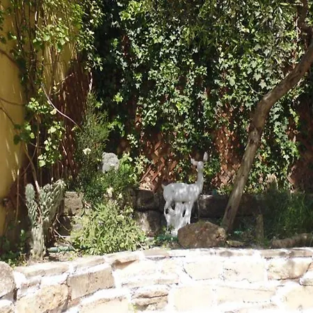 Farkia Exclusive Daire *